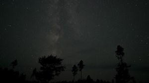 Timelapse of The Milky Way galaxy moves above the silhouettes of trees. Starry night background. Epic 4K
