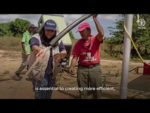 Five Years of the Decade of Family Farming: Reflections and Challenges to Strengthen the Sector