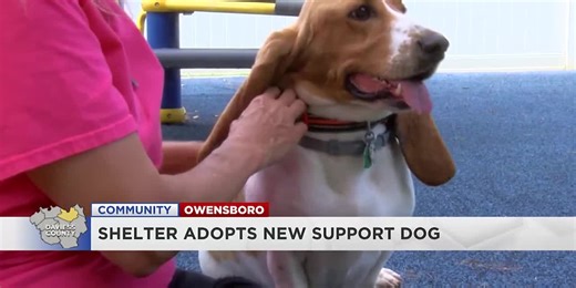 Nothin’ but a hound dog: Emotional support animal helps comfort homeless shelter residents