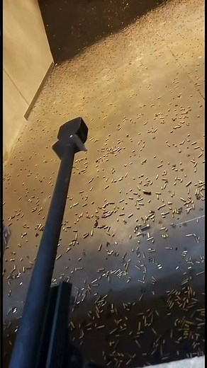 50 CAL Sniper - The Most Powerful Rifle