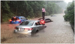 Heavy Rain Triggers Flash Floods in Washington DC, Prompts Water Rescues