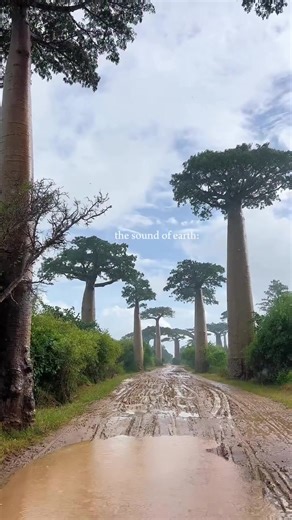 Madagascar🇲🇬 📷: Rever_mada