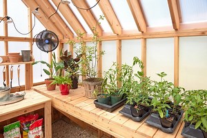 Guide To Greenhouse Gardening