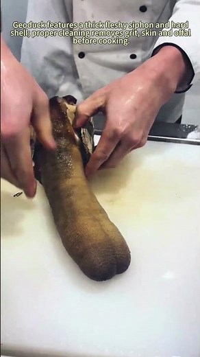 How to Clean Geoduck (Elephant Trunk Clam) Seafood Prep Hack 🦪