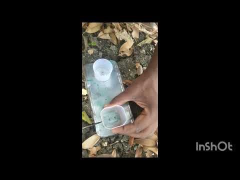 How to make a compass box trally on a zero budget!