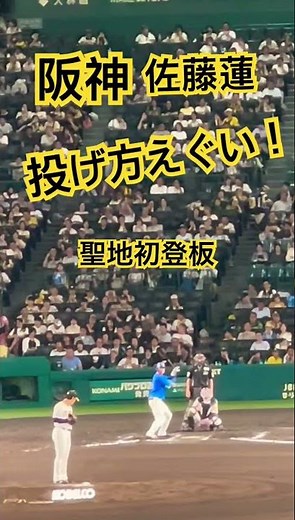 #阪神 #佐藤蓮 のピッチング