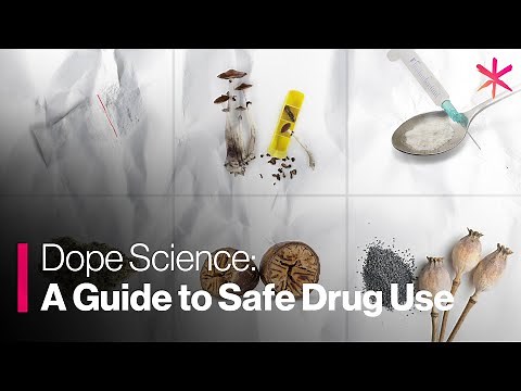 The Drug Users Bible: A Guide to Safe Drug Use
