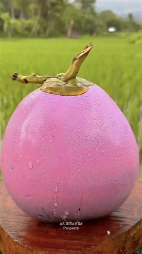 Truyện audio full hay nhất: audio viral & xu hướng