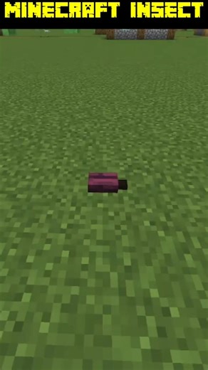 I Built a Tiny Insect in Minecraft 🐜