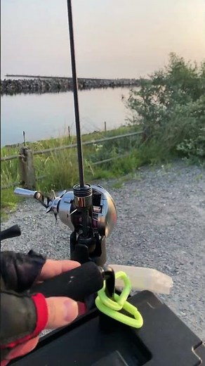 尺アジを釣り来た。新潟県 #アジング