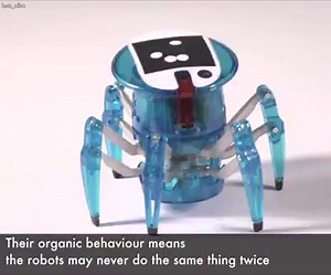 This robot is intelligent and incredibly cool | YOO