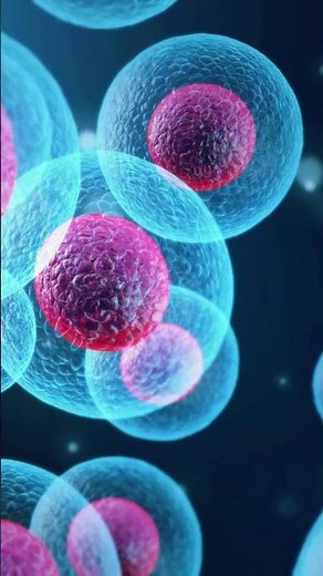 A team of researchers from USC has developed a groundbreaking AI algorithm called RED