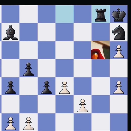 Bishop: Wake up to reality… ♝🔥 | chessbloop #122