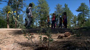 Cool Schools: Outdoor-based preschool students connect with nature
