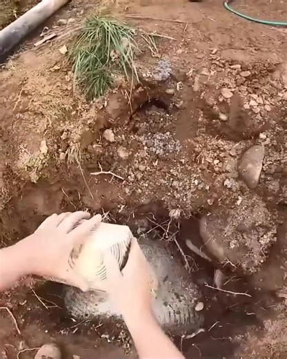 From Chaos to Construction: Deck Edition! 🏡 | Perkins Builder Brothers