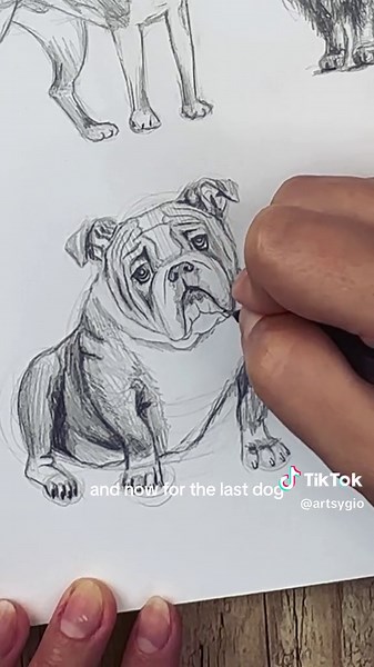 Dog Drawing Tutorial: Step-by-Step Guide for Pet Portraits
