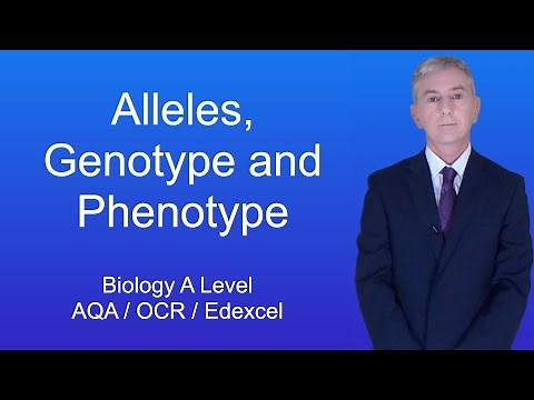 A Level Biology Revision (Year 13) "Alleles, Genotype and Phenotype"