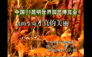 【广播电视｜录像带】中央电视台(CCTV1) 节目预告 广告 《晚间新闻报道》开始(1999.07.18)