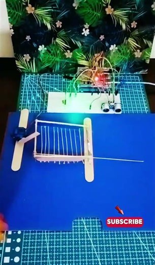 Fun STEM Project Bird Catching Experiment