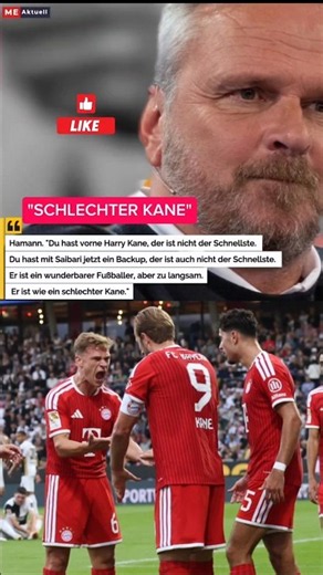 "Schlechter Kane" FC Bayern: Hamann mit harter Kritik an Kader- Planung! Bundesliga