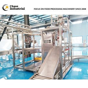 [Hot Item] Automatic Milk Juice Aseptic Plastic Pouch Bag Filling Packing Machine