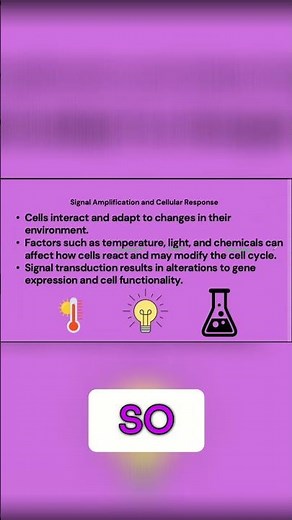 Cellular Adaptation: How Cells Respond to Environment