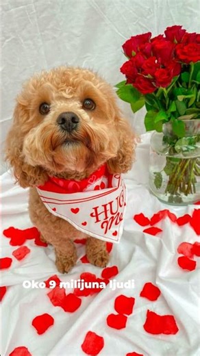 Znali ste ovo o Valentinovu ?