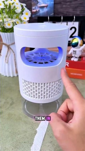 The best way to get rid of bugs 😮