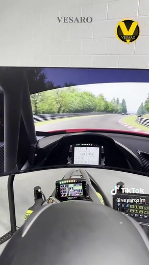 Ultimate Triple Samsung Ark Sim Racing Setup