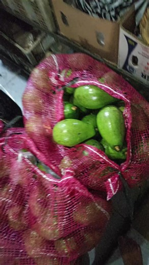 ready alpukat superan yah harga murce gaksen ke Tri cell bantar-wanareja no hp 081902942597#sayurfresh🥬🥕🍅 #agenbrilinkTricell #wanarejacilacapbarat #sayurbuahmurah