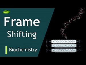 Translational Frameshifting | Ribosomal Frameshifting | BIOCHEM I PART-5 | Protein Synthesis