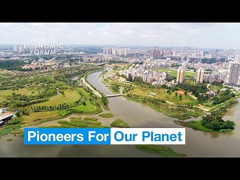 This man is turning cities into giant sponges to save lives | Pioneers for Our Planet