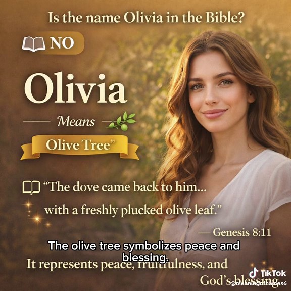 ✨ If your name is Olivia, it means “olive tree.” 🌿 The olive tree in the Bible symbolizes peace, fruitfulness, and God’s blessing. 📖 “The dove came back to him… with a freshly plucked olive leaf.” — Book of Genesis 8:11 If your name is Olivia, your name represents peace, growth, and blessing 🌿✨ Follow to discover the meaning of more names. #NameMeaning #Olivia #GirlNames #NameTok #ChristianTikTok
