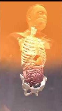 what is appendix?#appendix #doctor #medical