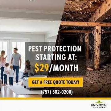 Exterminator Near Me #pestcontrol #universalpest #pestmanagement