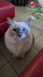 759K views · 20K reactions | Here's my new song!  | Bonnie & Clyde plus Candy | Facebook