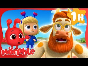 Daddy's Crazy Cow Adventure! 🐮 | Animal Cartoons for Kids | ‪@Morphle‬
