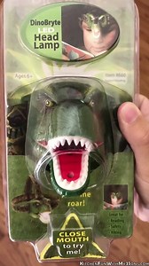 310K views · 15 reactions | DINOSAUR HEAD LAMP...Such a fun idea for Reading, Camping, & Exploring! My boys love it...you can turn sound off or on. Find it HERE ➡️ https://amzn.to/2uyOLod . We may earn a small commission at no extra cost to you from the link above | Kitchen Fun With My 3 Sons | Facebook