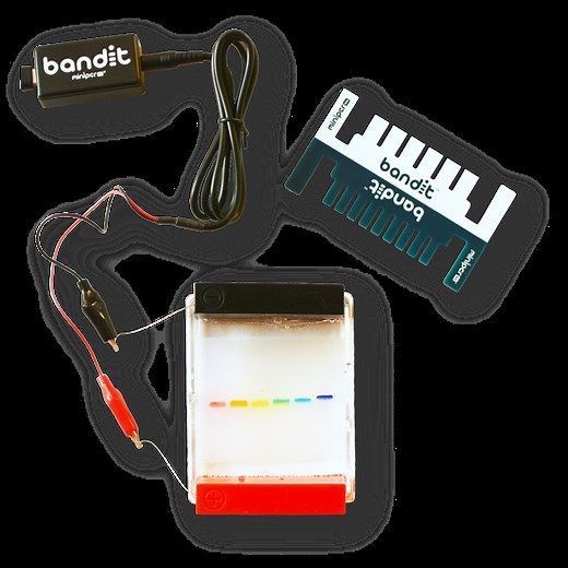 Bandit™ STEM Electrophoresis Kit