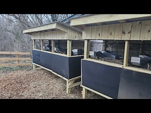 Best Rabbit Hutch DIY ideas