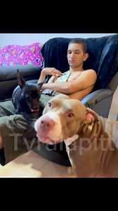 993K views · 10K reactions | Apito es mío! 來凉 #tyra #tyralapitt #viral | Tyralapitt | Facebook