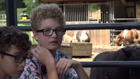 Equine therapy barn celebrates 10 years of healing