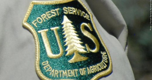 Prescribed fires set in Mendocino Forest to reduce wildfire risk