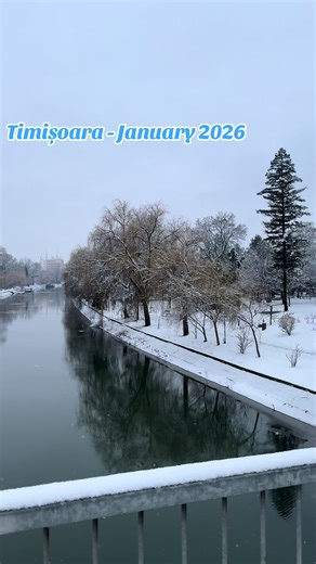 Timișoara sub zăpadă ❄️✨ #iarna2026 #timisoara #romania #europe #fyp TikTok