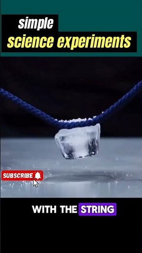 Walking Water Rainbow! | Capillary Action Science Experiment.