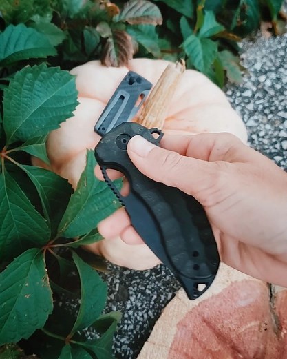SOG Knives on Instagram: "What type of SOG would you harvest? Chonky Kiku XR or sleek Ultra XR. @thewildyolo"