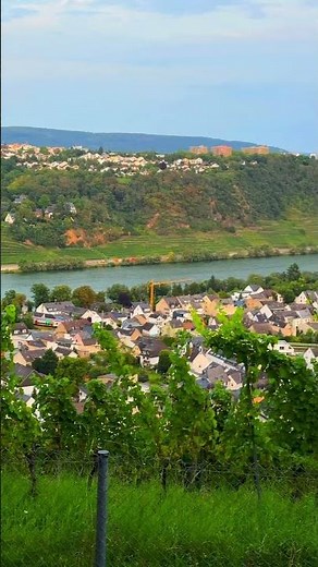 Breathtaking View of the Moselle Valley | Koblenz-Güls Roundabout from Güls 🇩🇪