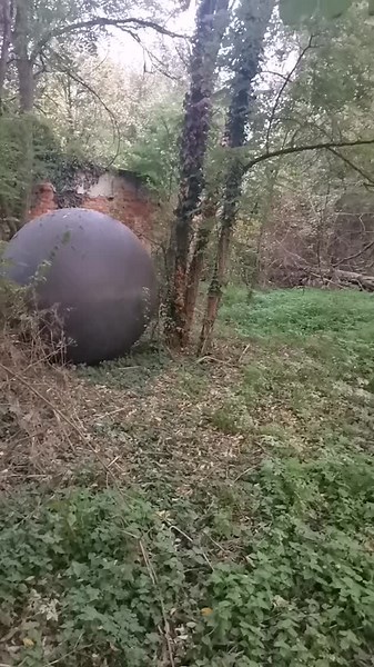 Mysterious Sphere Discovered in Dense Forest