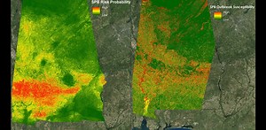 Can scientists learn to make ‘nature forecasts’ just as we forecast the weather?