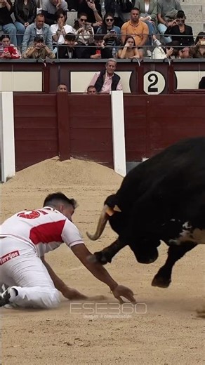 LOS MEJORES RECORTADORES FRENTE A TOROS BRAVOS EN LAS VENTAS #tricks #special #bestplayer #bulls
